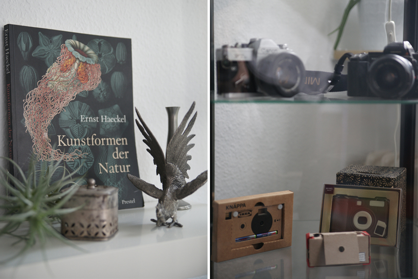 Homestory fotografiert von Fotostudio Witten - Kristina Bruns